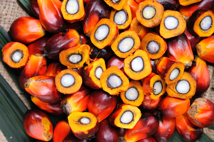 Close-up of whole and sliced palm oil fruits with orange and red hues.