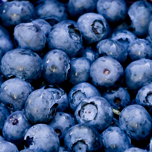 Close-up of fresh blueberries with water droplets.