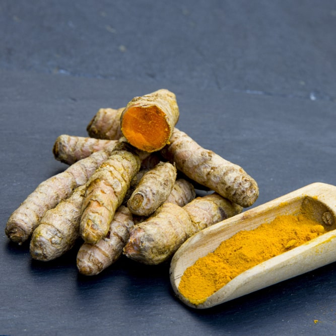 Fresh turmeric roots and ground turmeric in a wooden scoop on a dark surface.