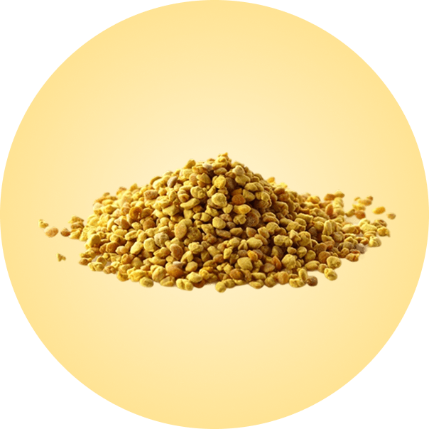 A pile of yellow granules on a light background.