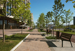 Tree-lined walkway with benches and buildings on a sunny day.