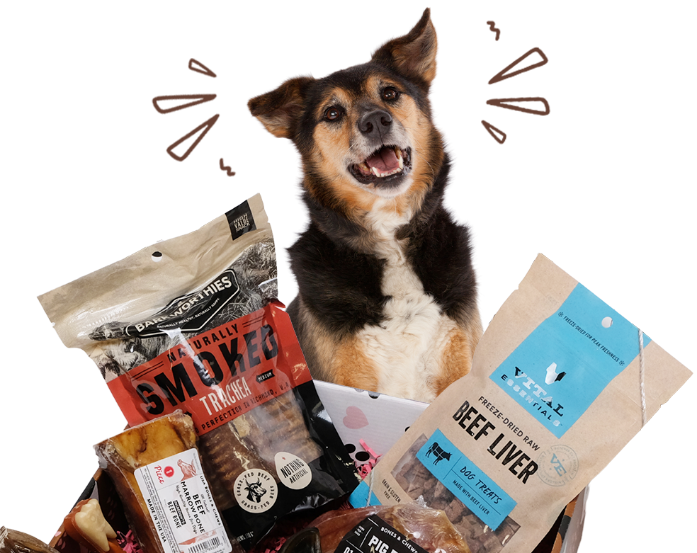 Happy dog surrounded by various packaged dog treats.