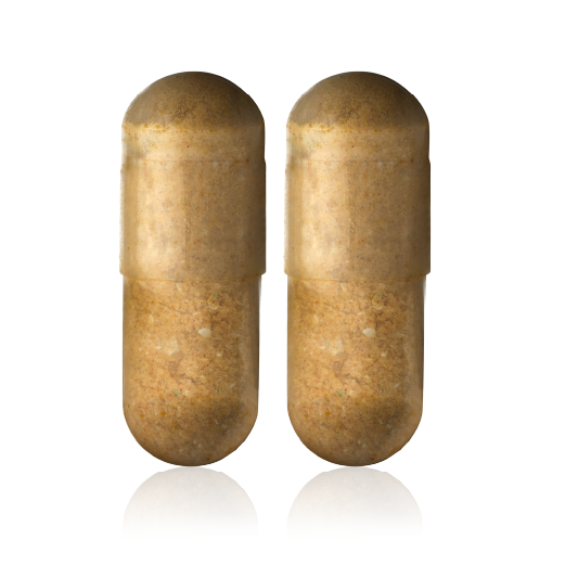 A close-up of two tan-colored translucent capsules filled with a powdered substance, standing on a reflective surface.