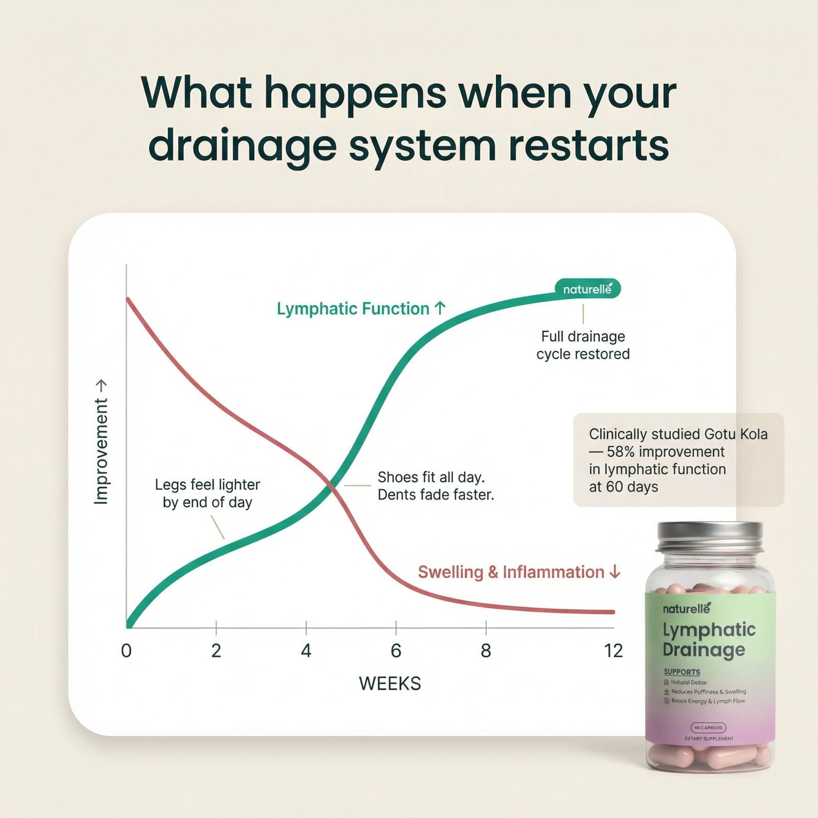 A graph showing lymphatic function improving and inflammation decreasing over 12 weeks, next to a supplement bottle.