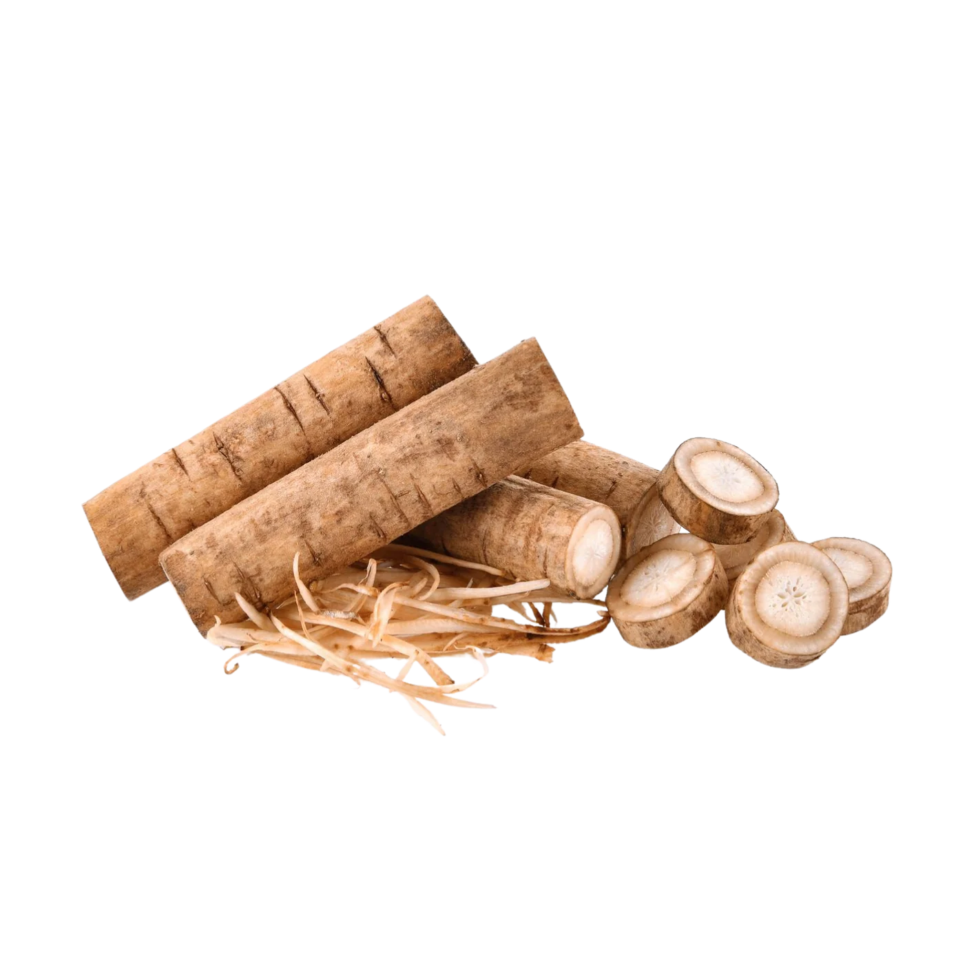 Whole, sliced, and shredded burdock root isolated on a white background.