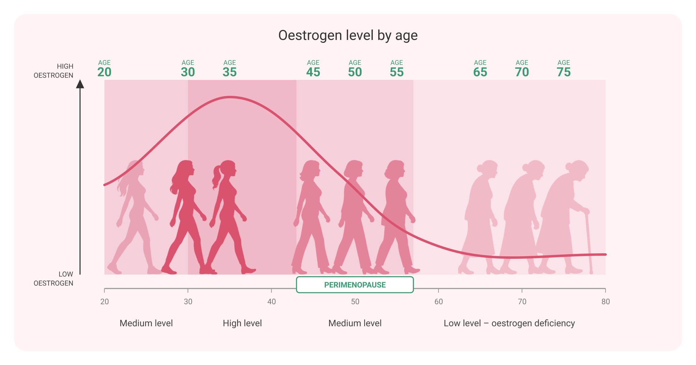 An illustration of a woman aging from her early 40s to her 50s+ on a chart.