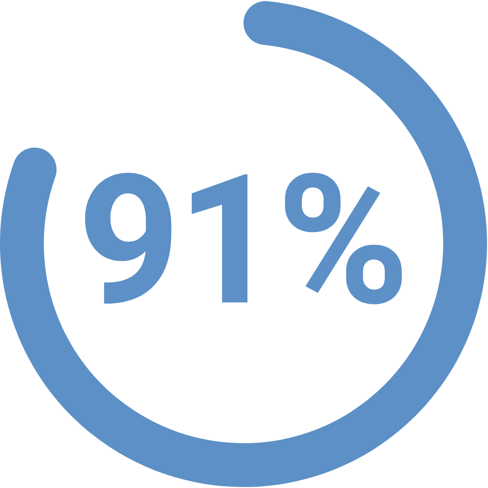 Blue percentage symbol showing 91% inside a circular progress bar.