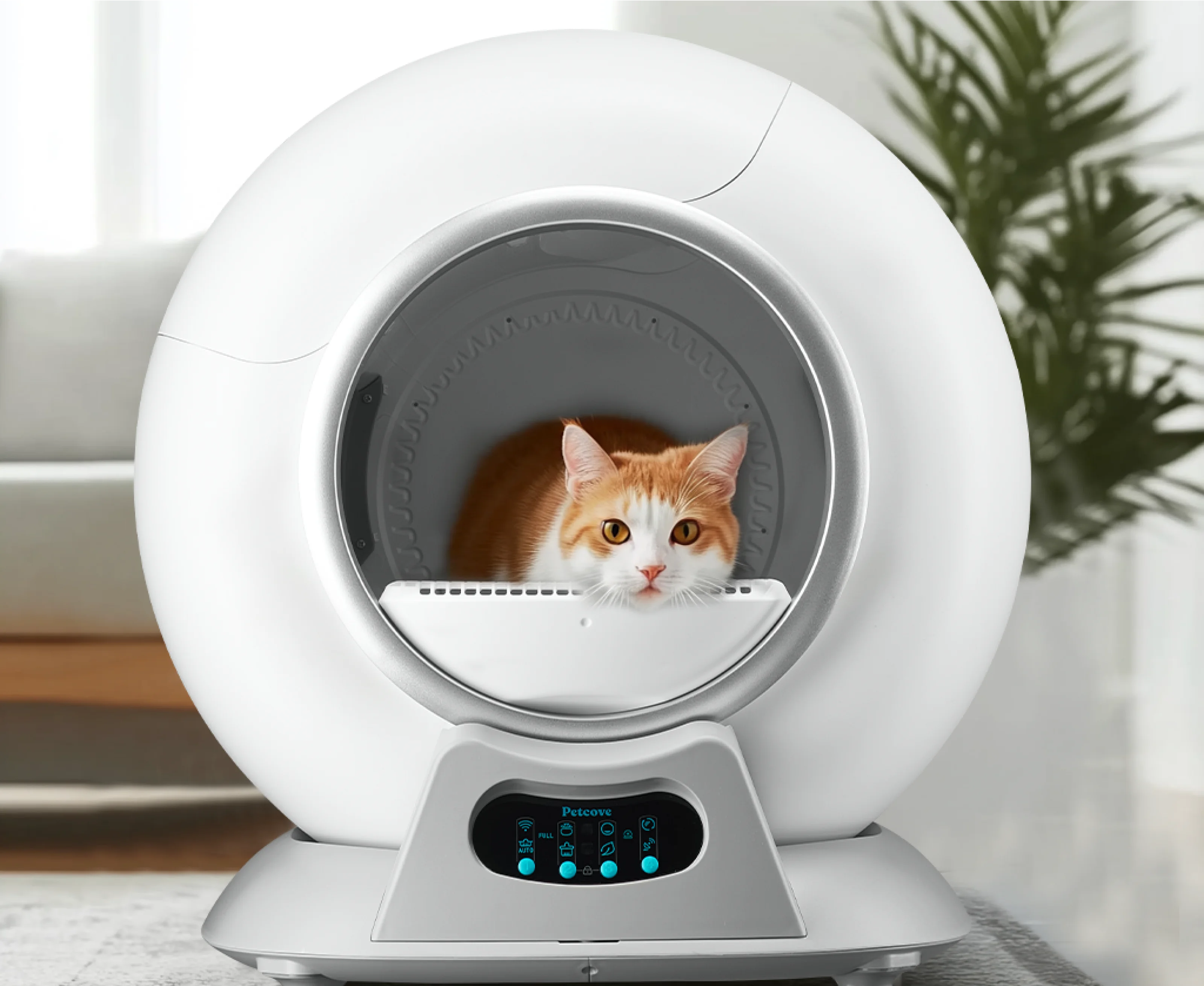 An orange and white cat sits inside a modern, white, spherical automatic litter box, looking at the camera.