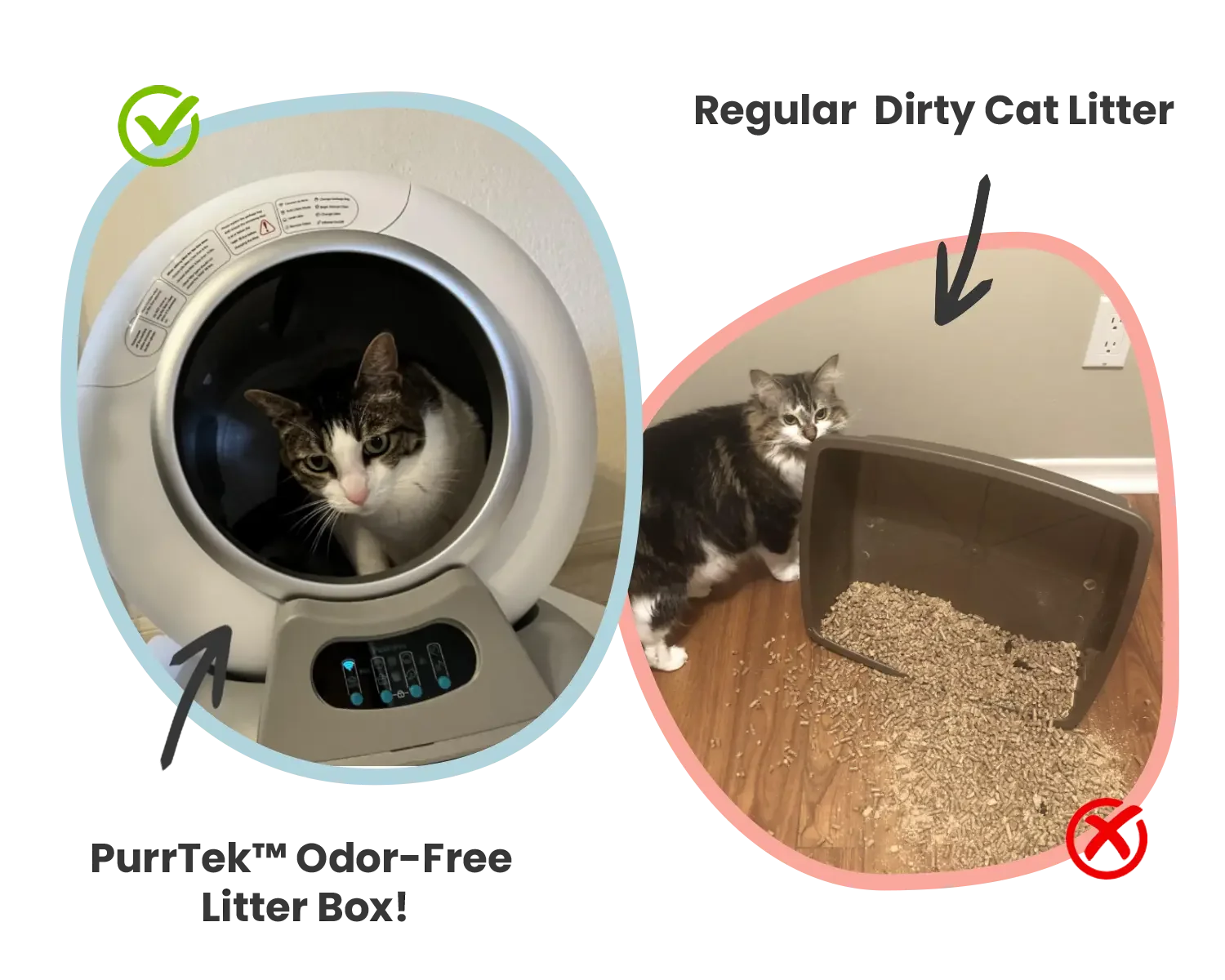This New Innovation Is Changing Cat Owners' Lives – Petcove