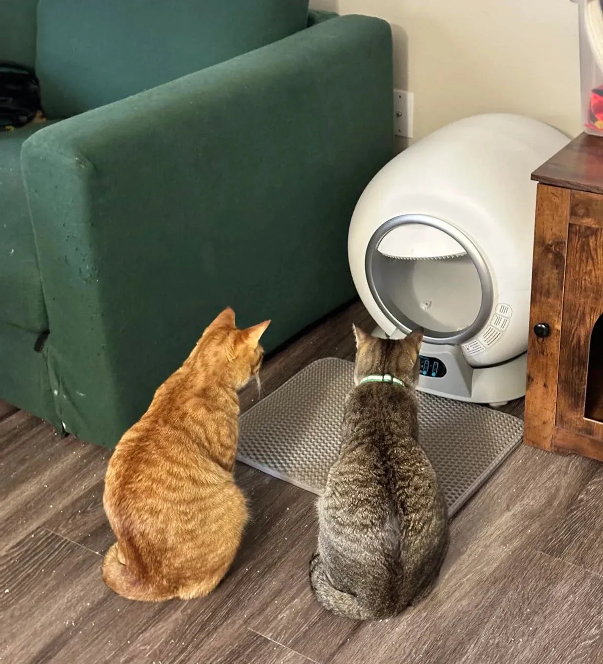 Two cats, an orange tabby and a brown tabby, sit side-by-side facing a white automatic litter box.
