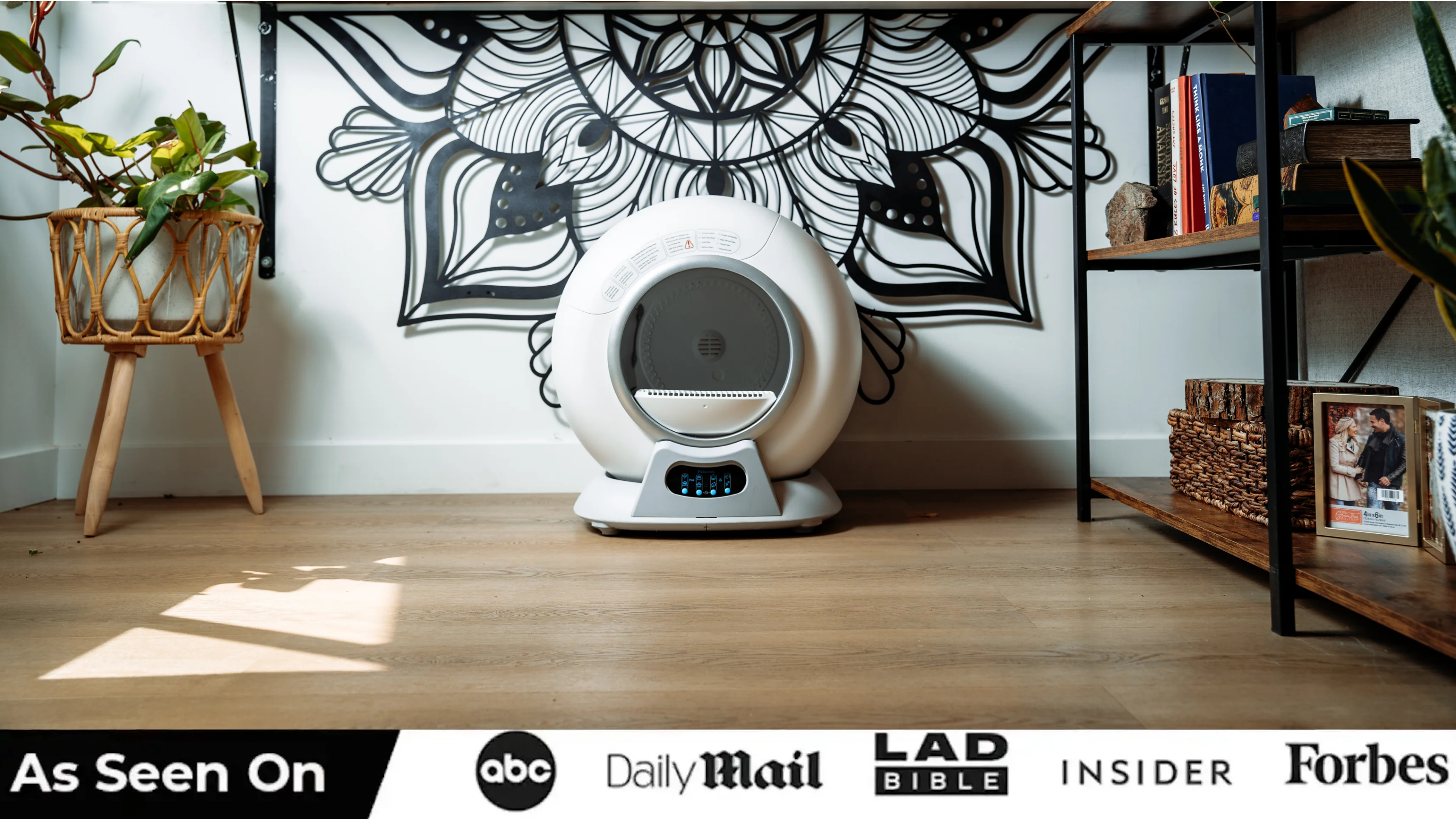 A white automatic litter box on a wood floor in a modern room with wall art.