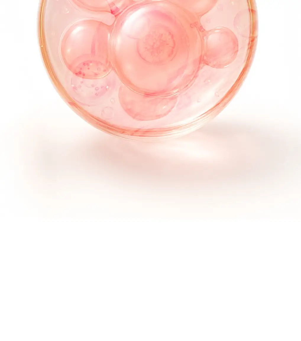 Translucent pink bubbles in a circular pattern on a white background.