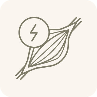 A line drawing icon of a muscle with a lightning bolt symbol superimposed on it.