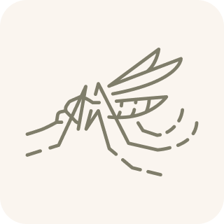 A stylized, minimalist line drawing of a mosquito on a light background.