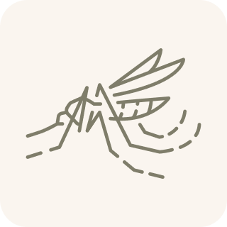 A stylized line-art icon of a mosquito against a light-colored background.