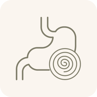 A line art icon of a stomach with a spiral design on it.