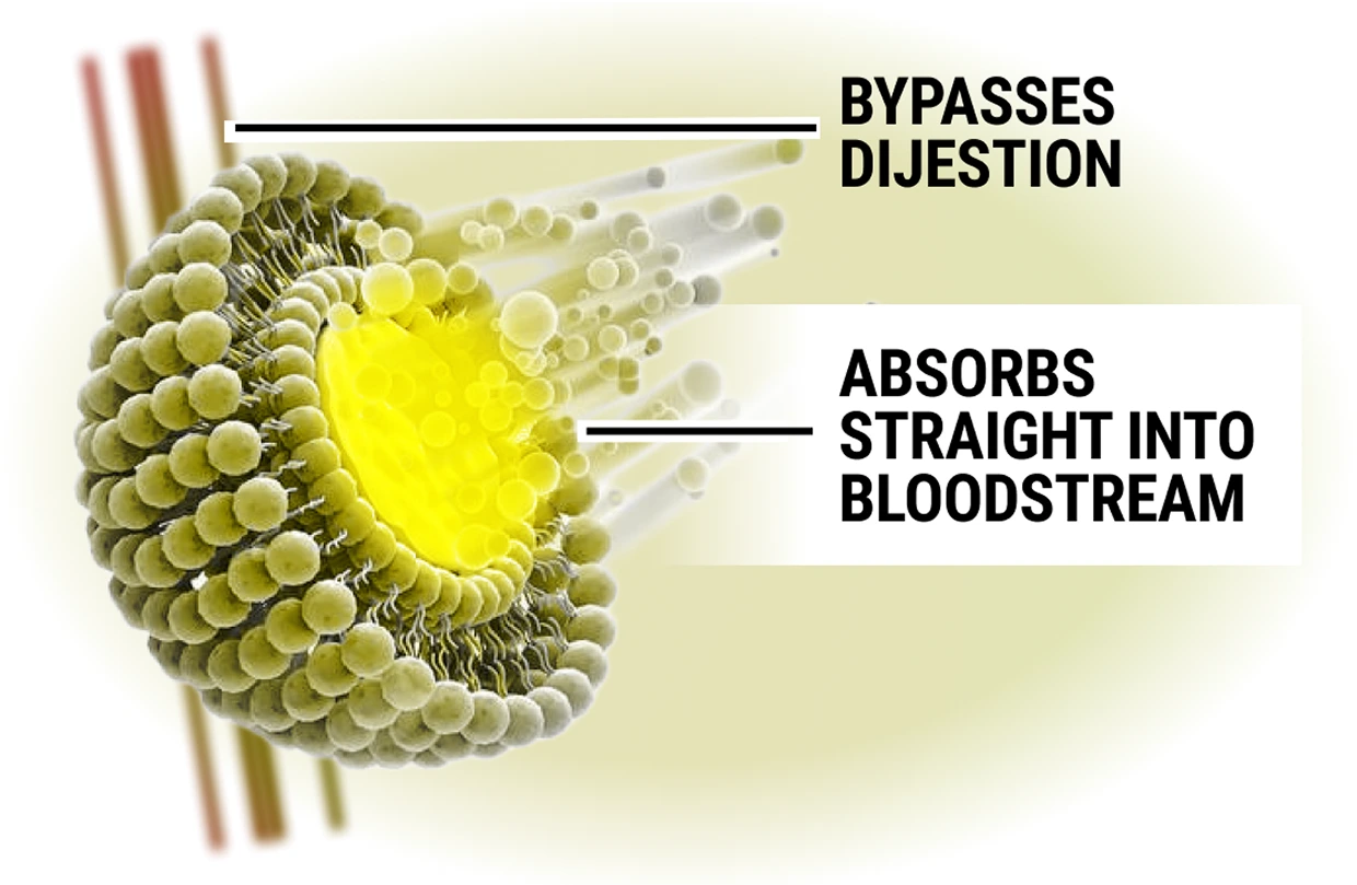 Illustration of nutrients bypassing digestion, absorbing into the bloodstream.