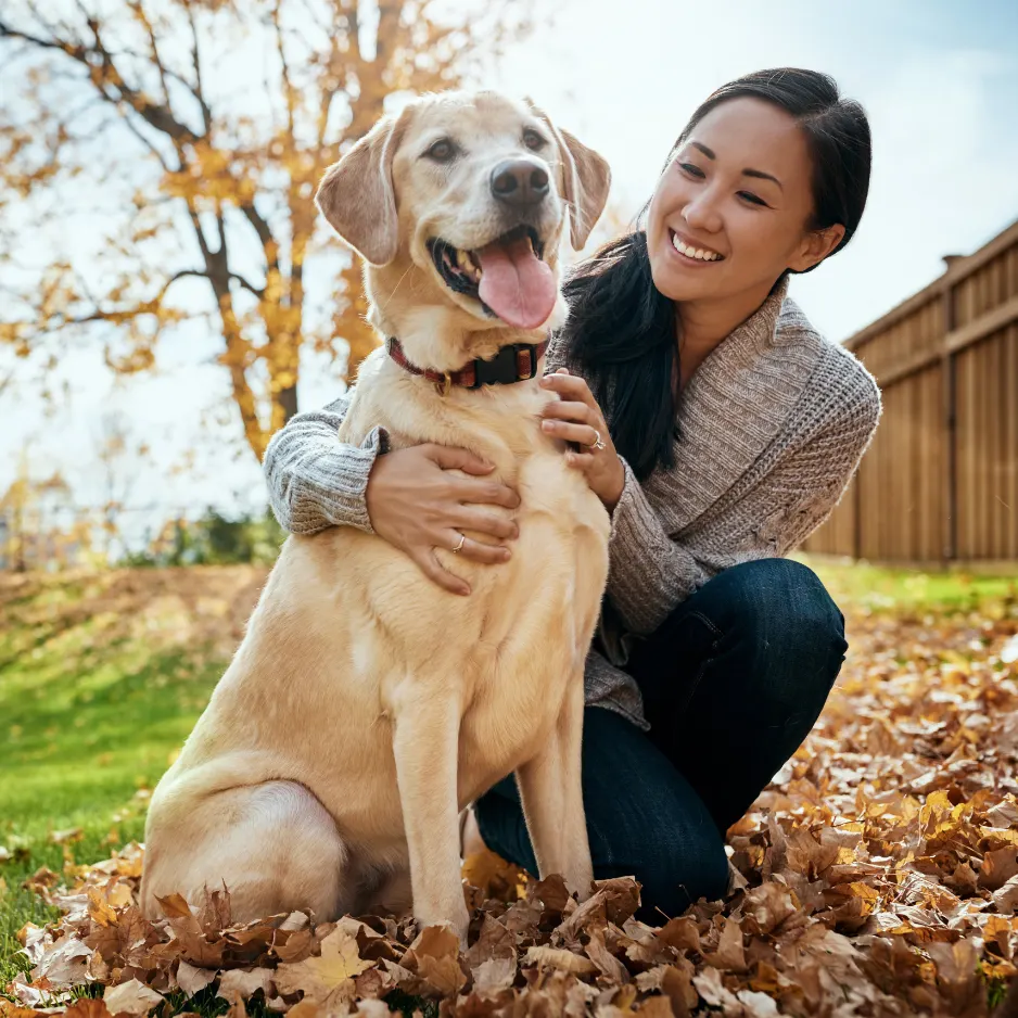 Woman smiling with a Labrador dog in autumn leaves.