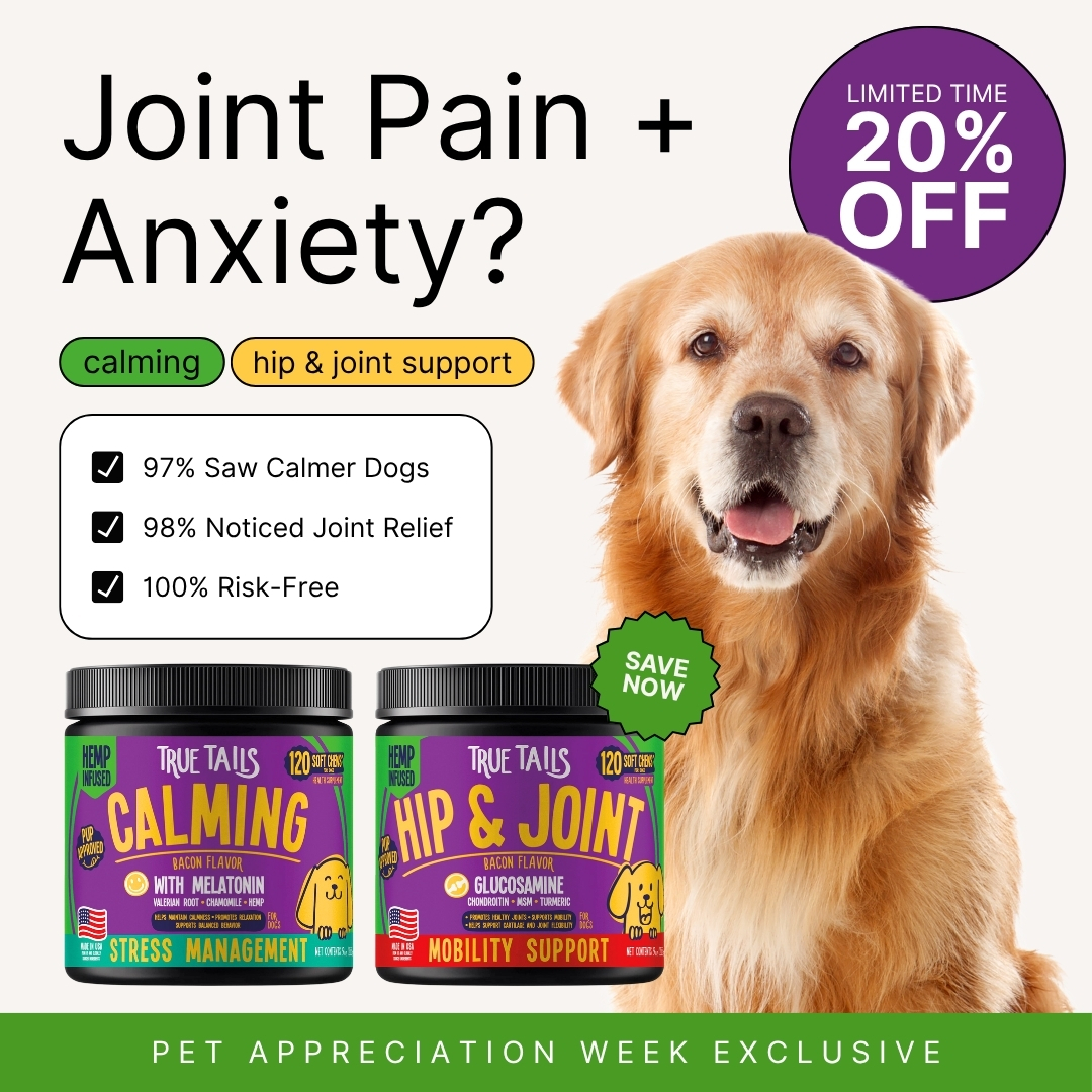 Golden retriever with pet supplement jars and promotional text for joint pain and anxiety relief.
