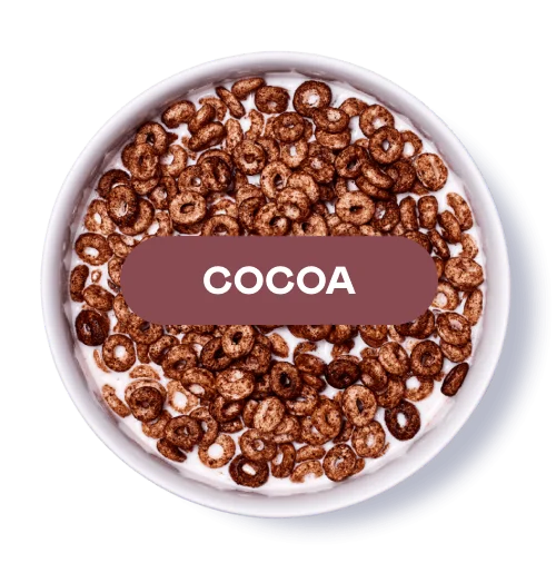 Bowl of cocoa-flavored cereal with 'COCOA' text overlay.