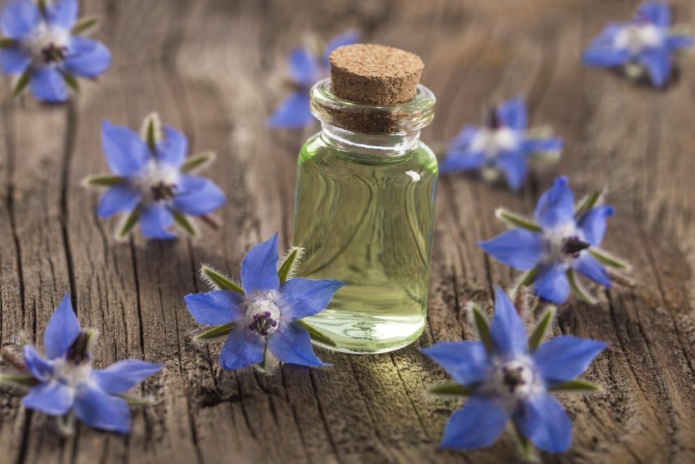 Small glass bottle with green liquid, surrounded by blue flowers on wooden surface.