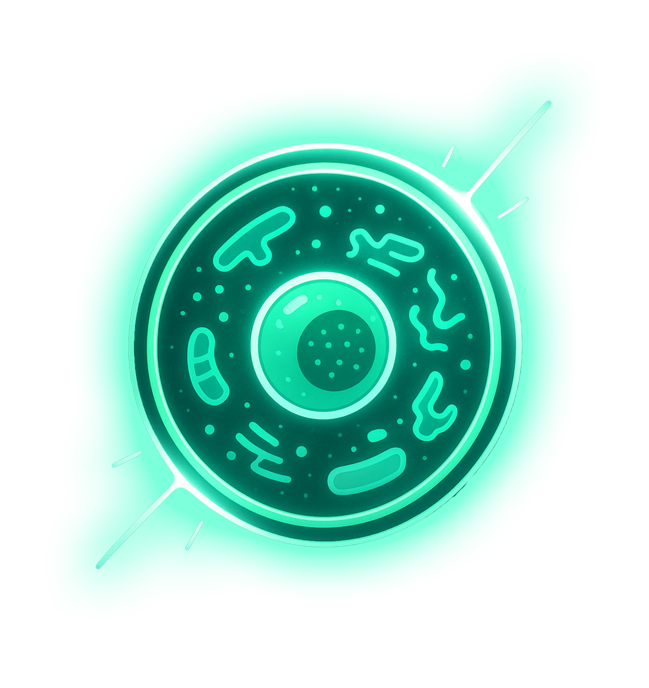 Text about natural herbs preventing hangover molecules on a dark background.
