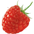 A fresh, bright red raspberry against a transparent background.