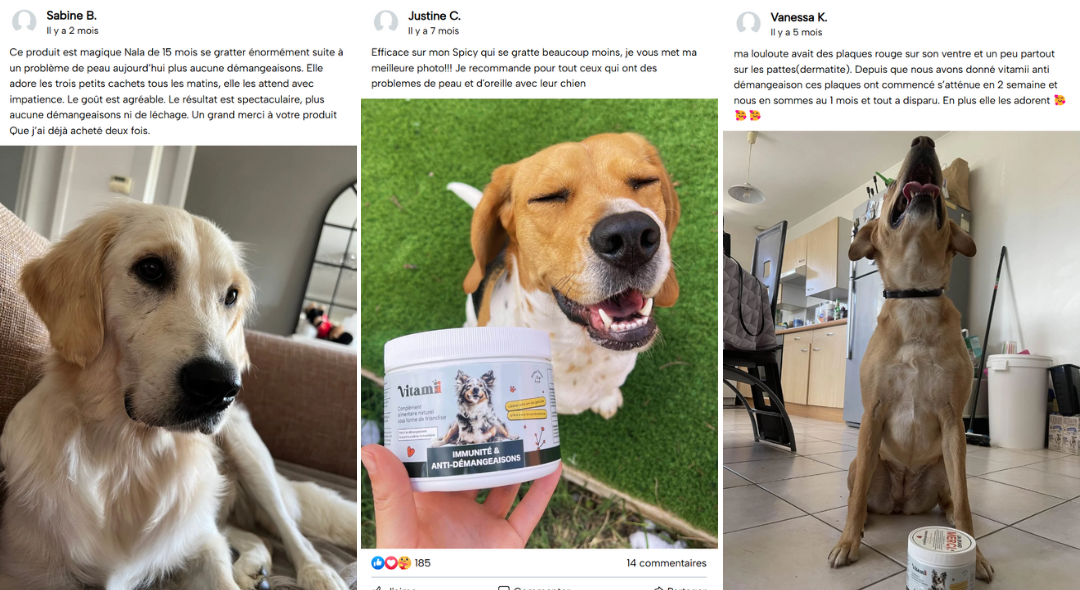 Three dogs with product reviews, one holding a container of pet supplement.
