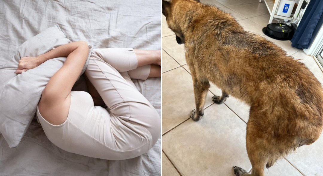 Split image: person lying on bed, dog standing on tiled floor.