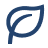 A blue, stylized icon of a leaf whose stem resembles the letter 'P'.