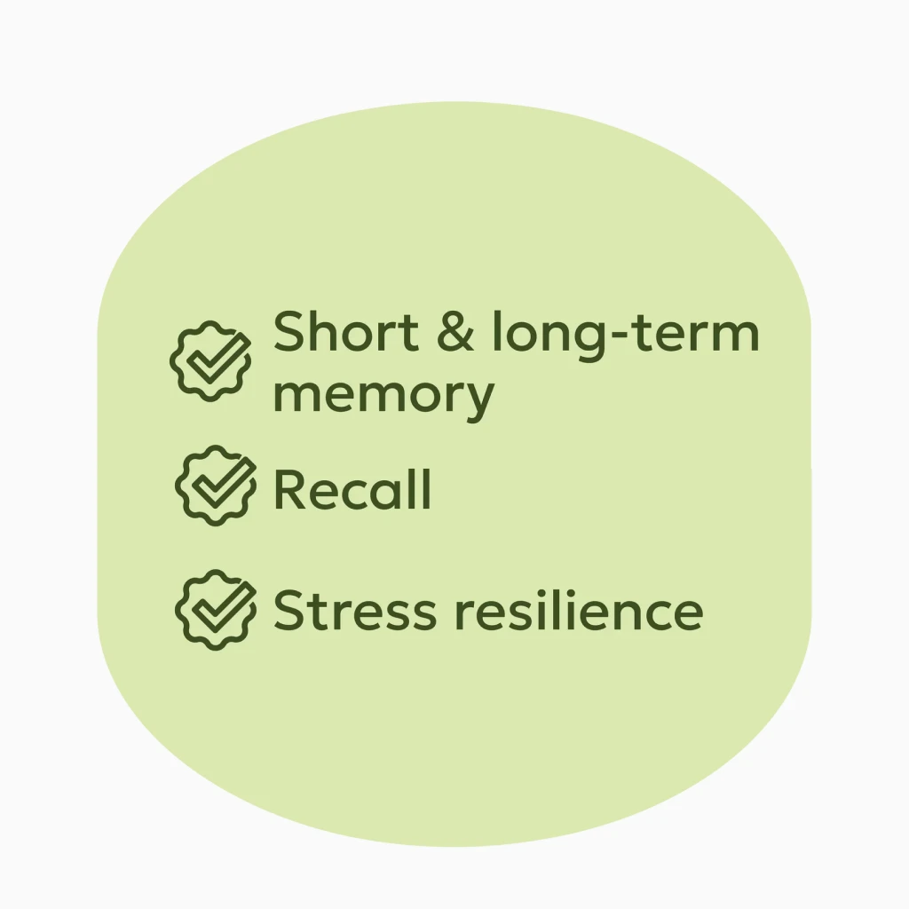 A graphic listing benefits: Short & long-term memory, Recall, and Stress resilience, each with a checkmark icon.