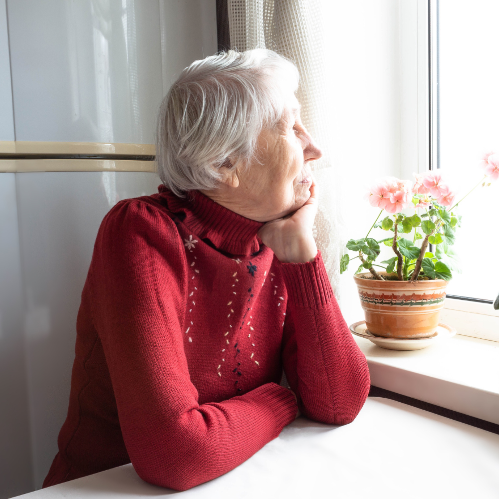 Elderly woman in red sweater looking out a window beside a potted plant.