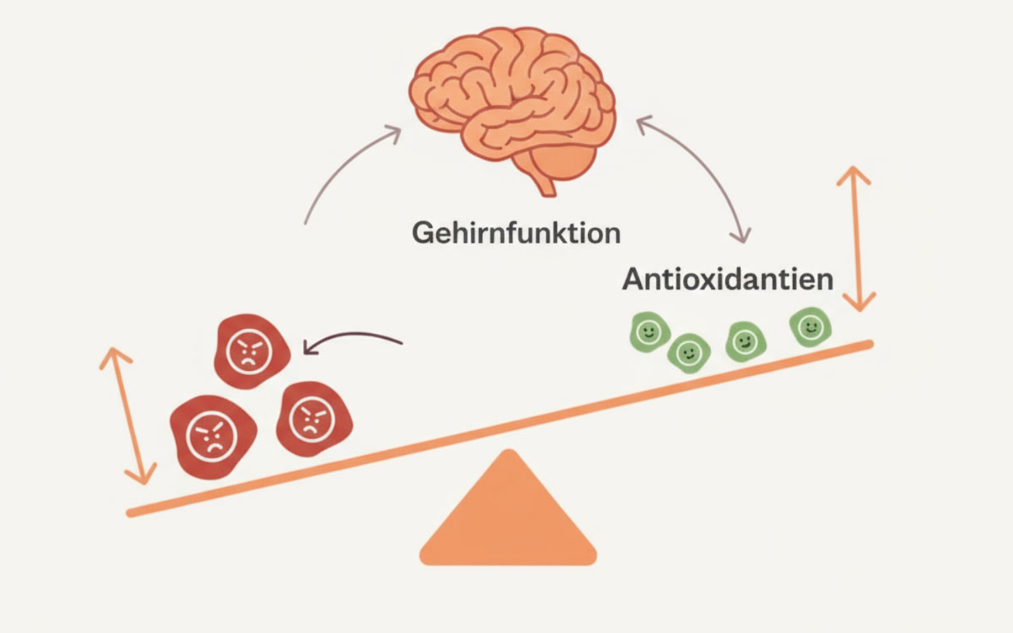 Illustration of brain function with a seesaw balancing antioxidants and angry cells.