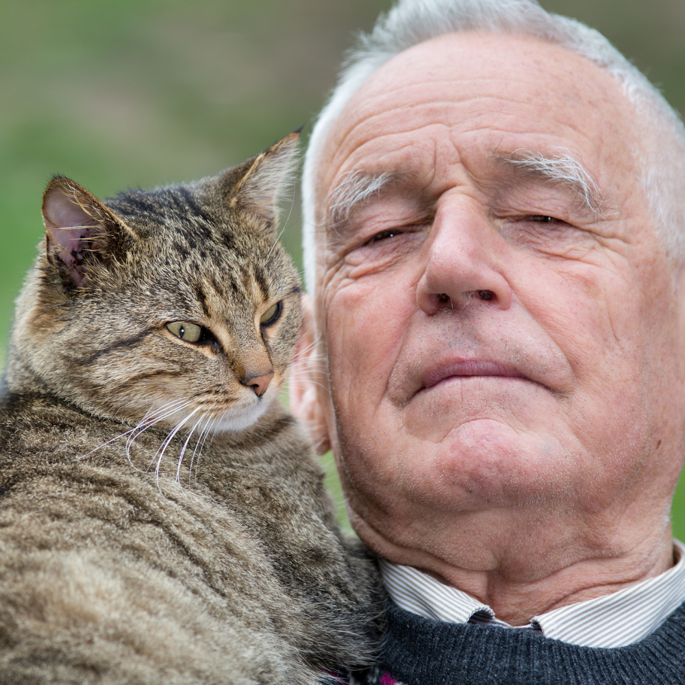 Elderly man holding a tabby cat on his shoulder.