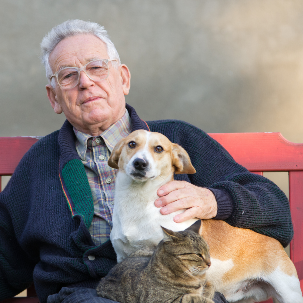 Elderly man with a dog and cat on a bench.