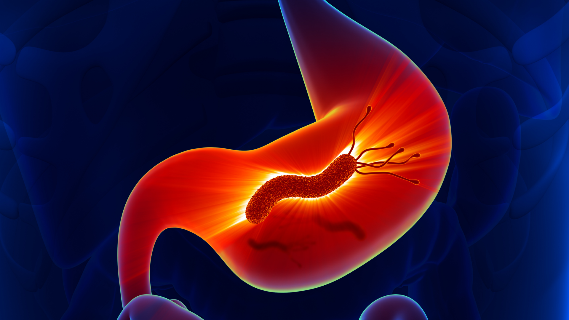 Illustration of a bacterium with flagella inside a stylized stomach.