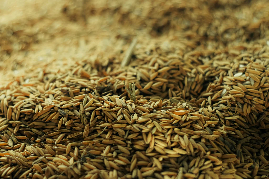 Close-up of a pile of brown rice grains.