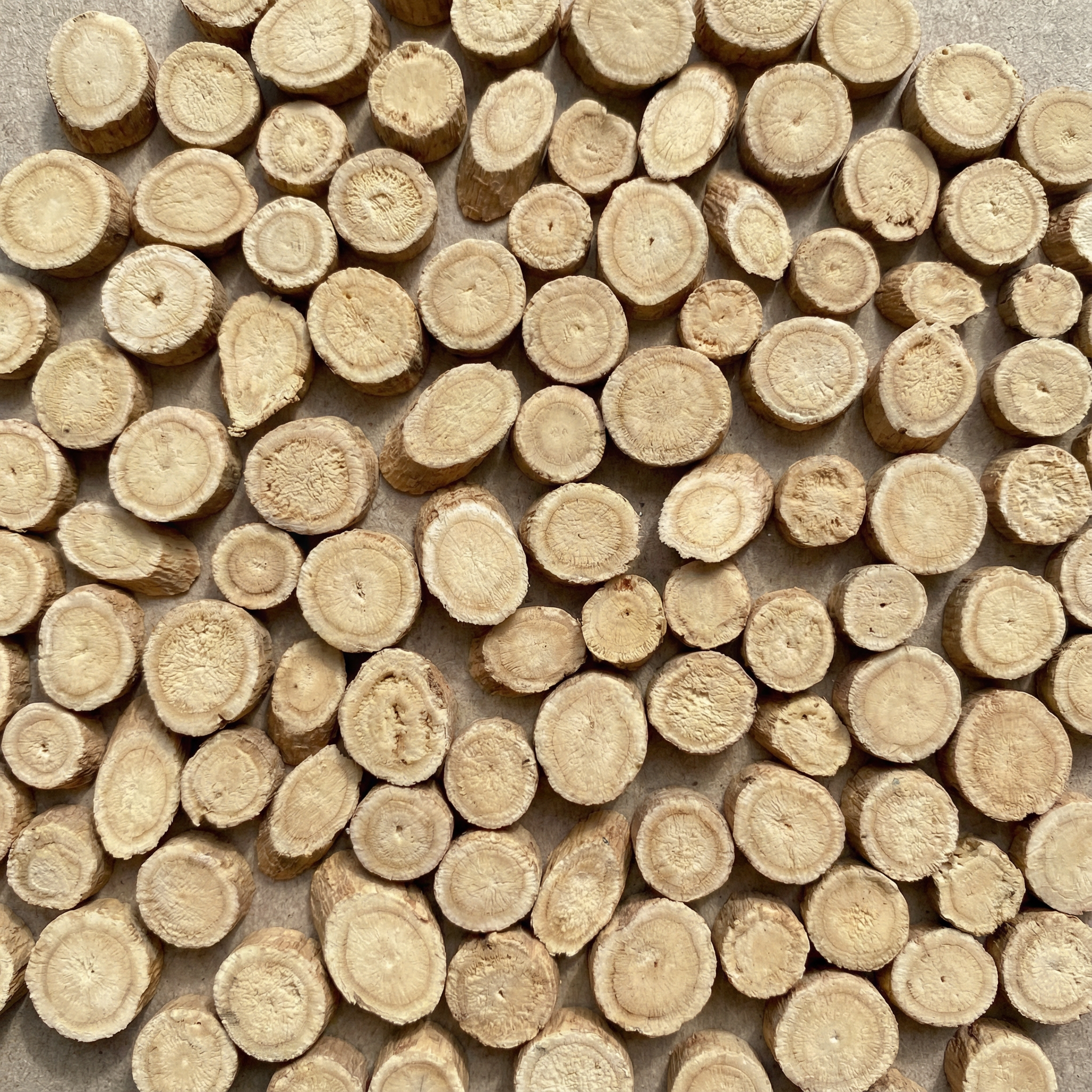 Numerous small, round wooden log slices arranged on a flat surface.