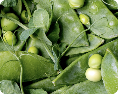 Close-up of fresh green peas and pea pods.