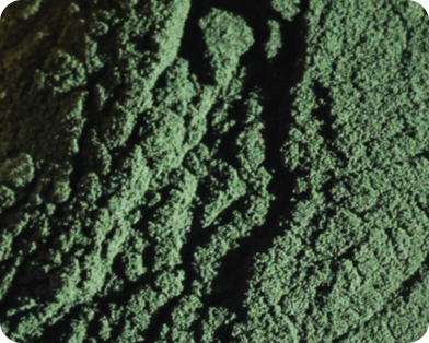 Close-up of green textured powder.