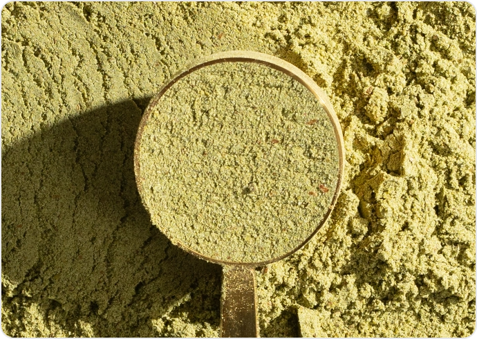 A scoop of green powder on a pile of the same powder.