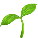 A small green plant sprout with two leaves.