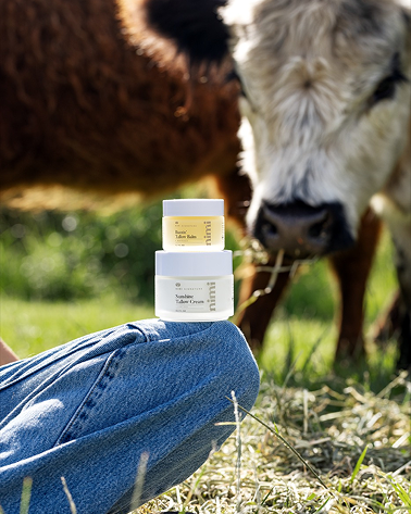 Two jars of skincare products stacked on a person's knee with a cow in a grassy field behind them.