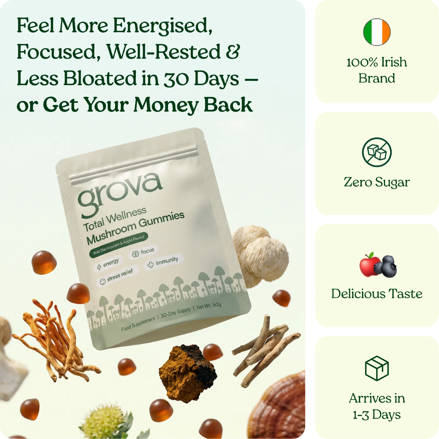 A promotional image showing a pouch of Grova mushroom gummies surrounded by various mushrooms and product benefits.