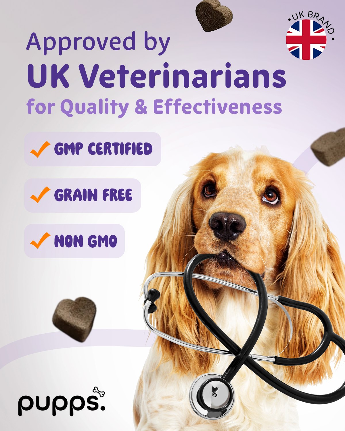 Dog holding stethoscope with text about UK veterinarian approval and product certifications.