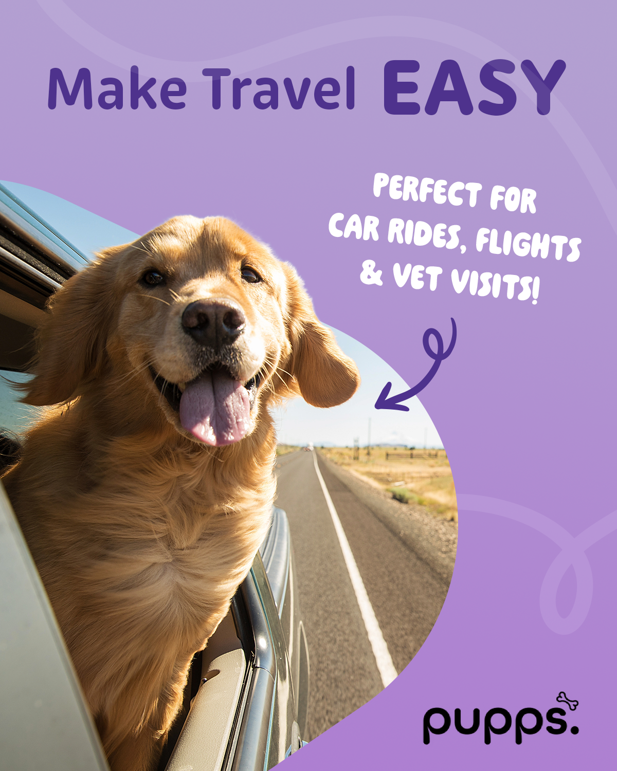 Golden retriever with head out car window, text promoting easy travel for pets.