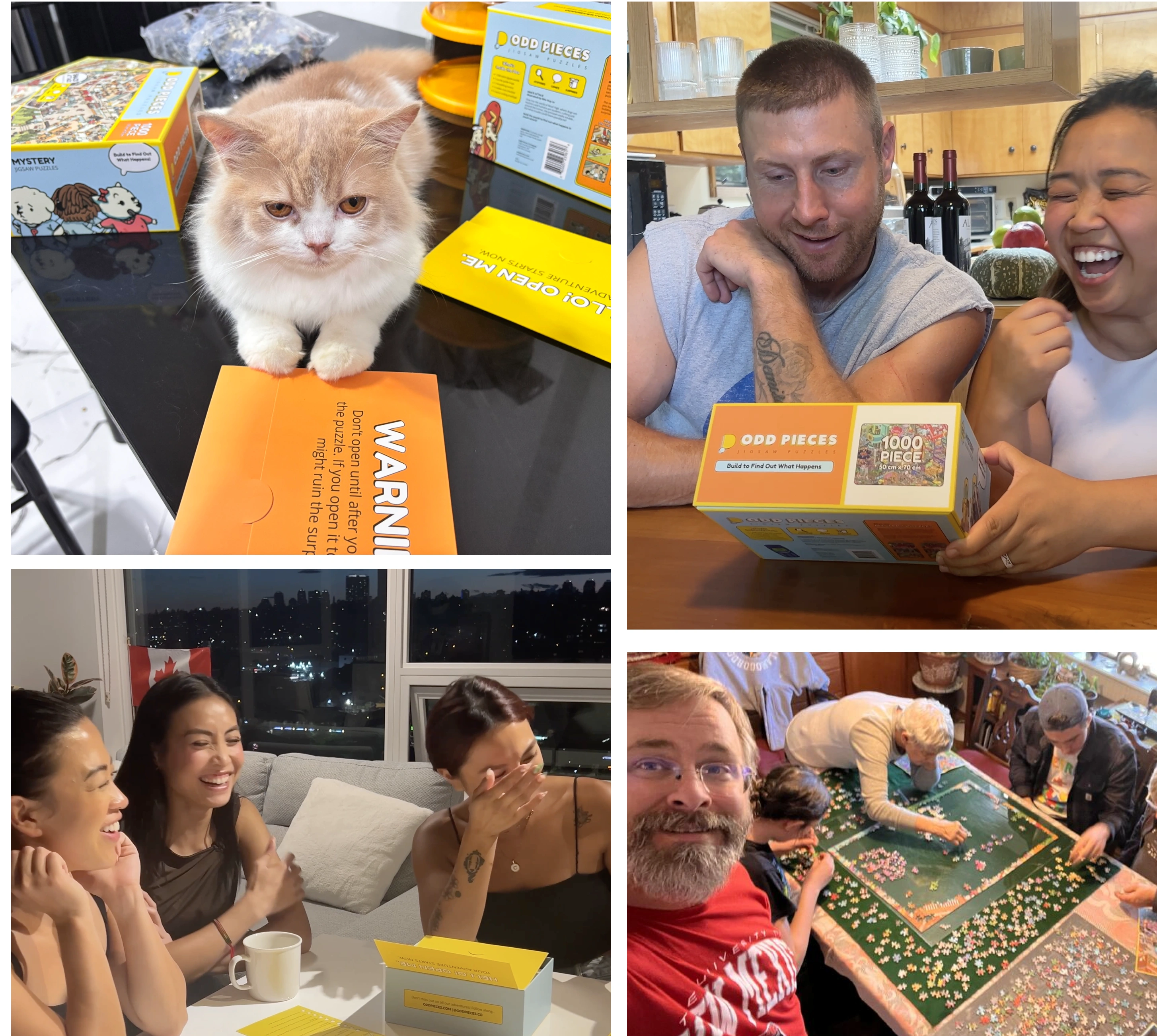 Collage of people and a cat with puzzle boxes and puzzle assembly.