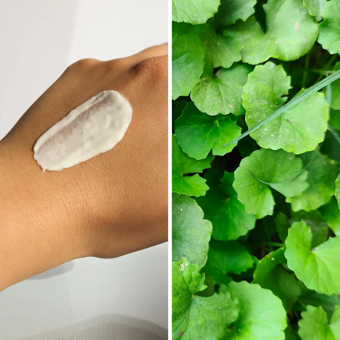 A hand with cream applied next to green leaves.