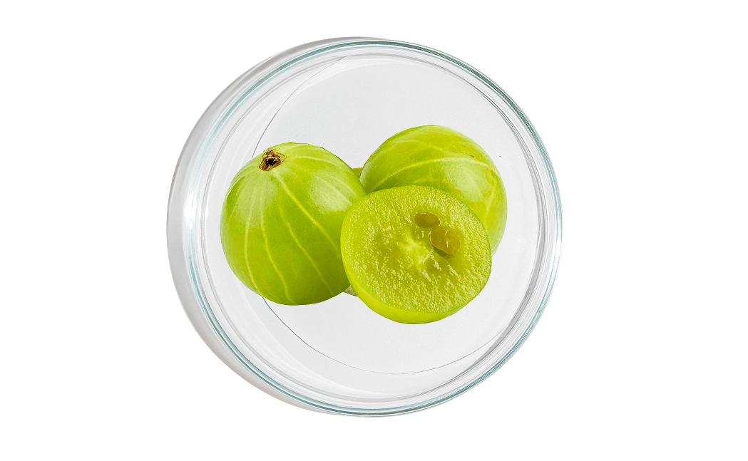 Two whole and one sliced green gooseberries on a white background.