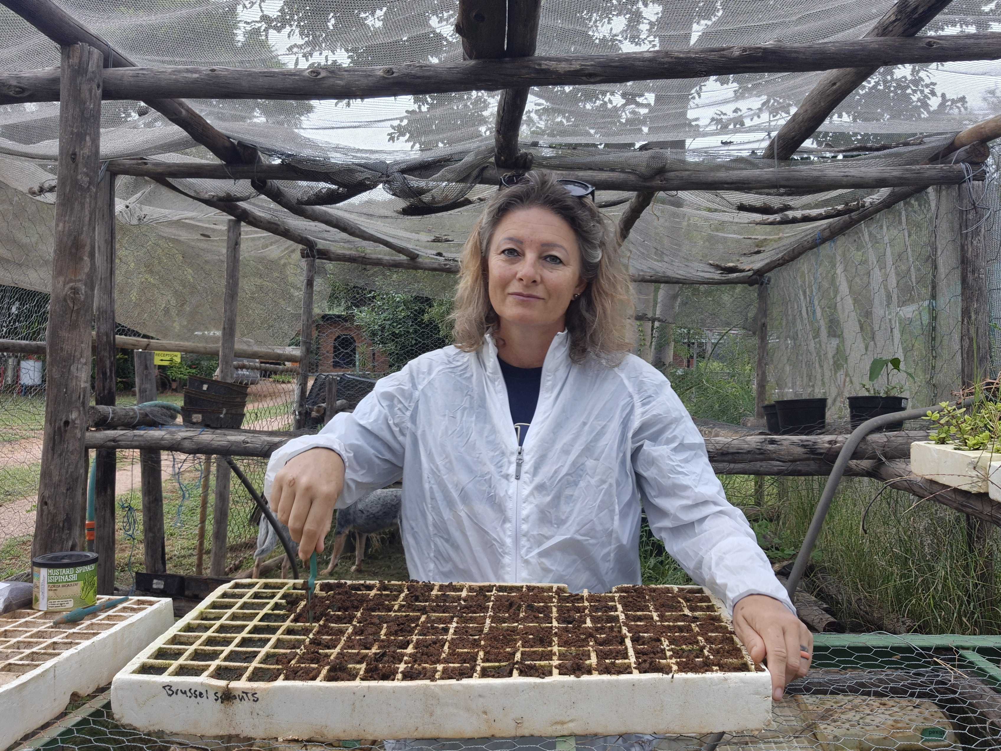 Person in a greenhouse planting seeds in a tray labeled 'Brussel Sprouts.'